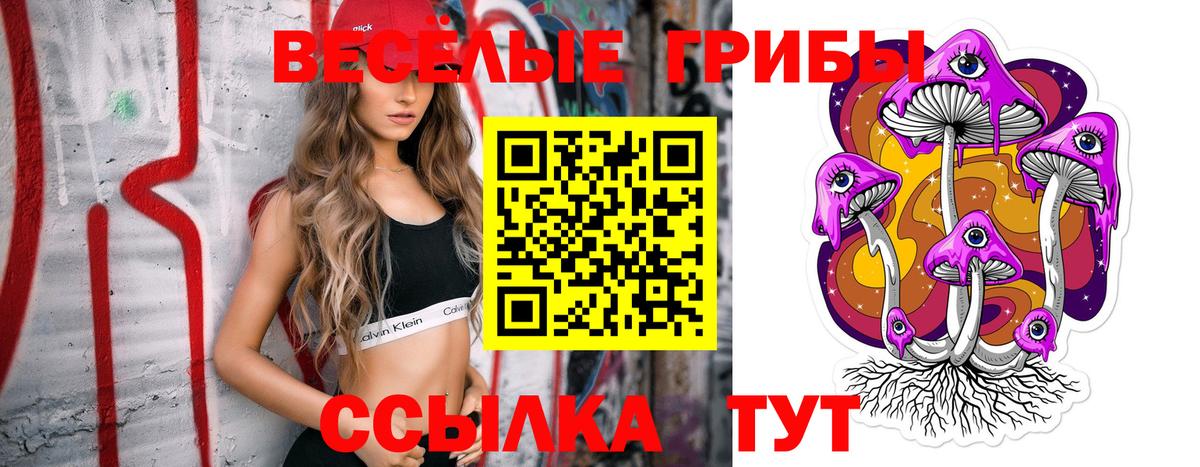Галлюциногенные грибы Psilocybe  купить  сайты  Псилоцибиновые грибы MAGIC MUSHROOMS  Новошахтинск  Вход с VPN 